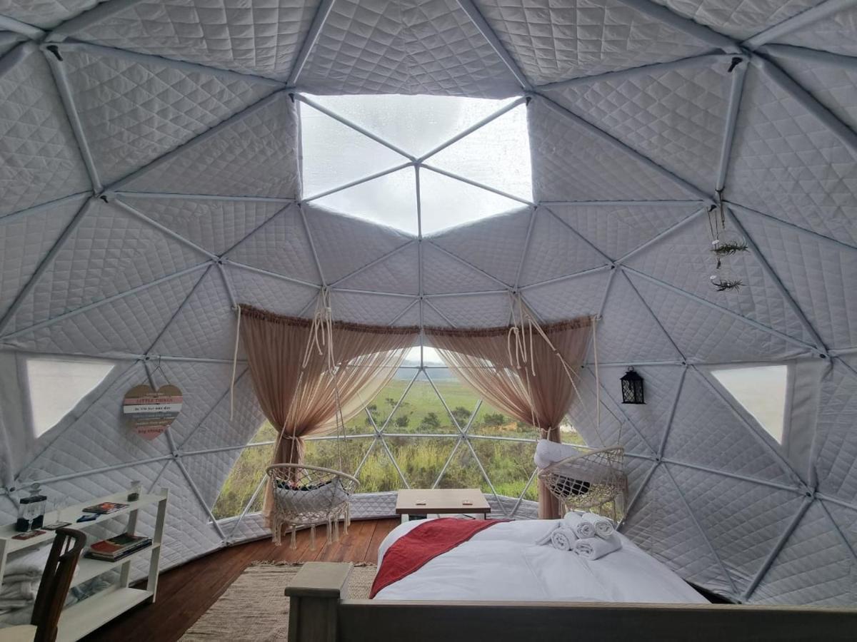 Pom Gratz - Ecodomes Hotel Hartebeesrivier Ngoại thất bức ảnh
