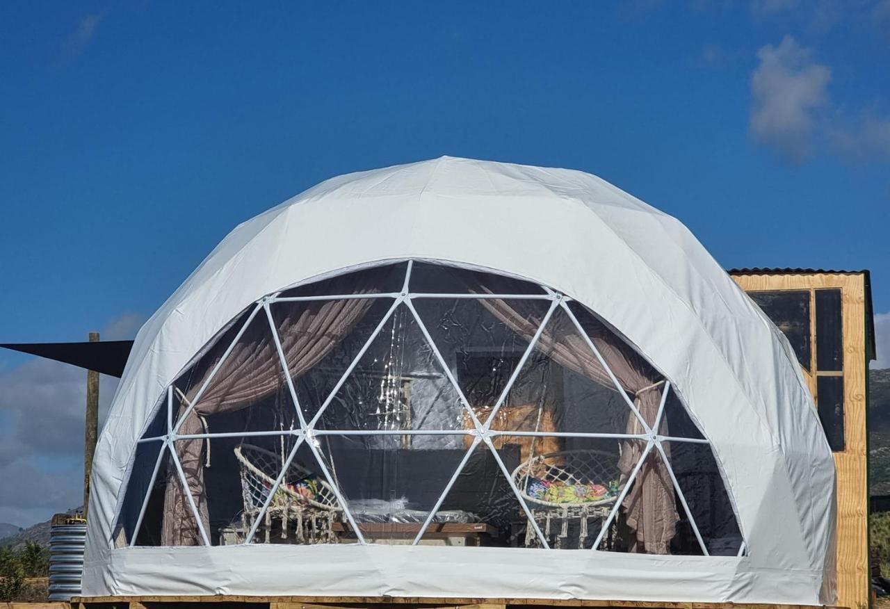 Pom Gratz - Ecodomes Hotel Hartebeesrivier Ngoại thất bức ảnh