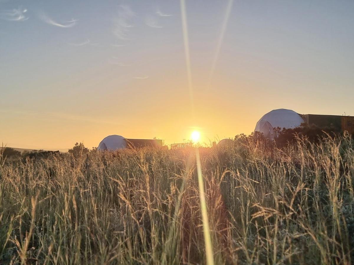 Pom Gratz - Ecodomes Hotel Hartebeesrivier Ngoại thất bức ảnh